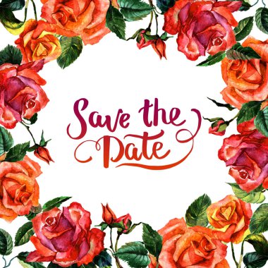 Kır çiçeği gül çiçek çerçeve izole bir suluboya tarzında.