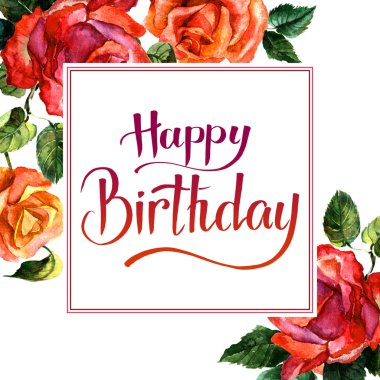 Kır çiçeği gül çiçek çerçeve izole bir suluboya tarzında.