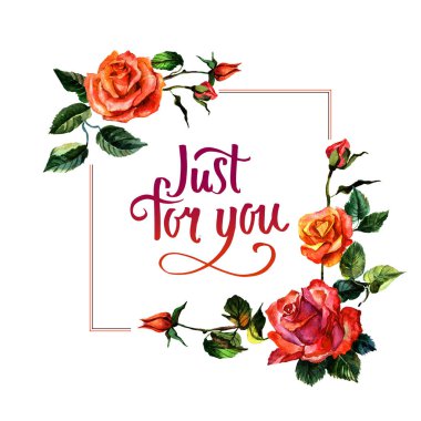 Kır çiçeği gül çiçek çerçeve izole bir suluboya tarzında.