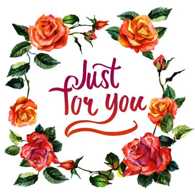 Kır çiçeği gül çiçek çelenk izole bir suluboya tarzında.