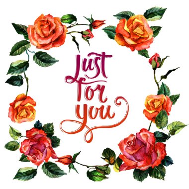 Kır çiçeği gül çiçek çelenk izole bir suluboya tarzında.