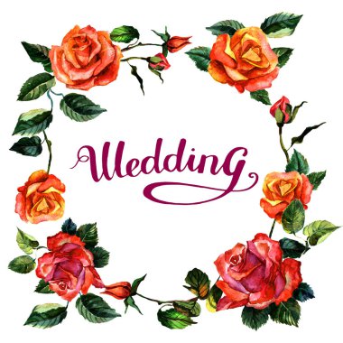 Kır çiçeği gül çiçek çelenk izole bir suluboya tarzında.