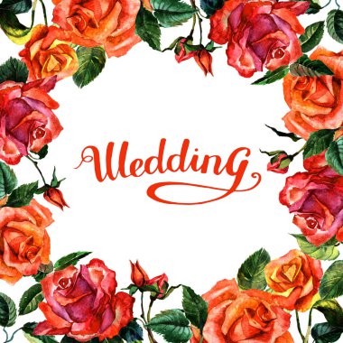 Kır çiçeği gül çiçek çerçeve izole bir suluboya tarzında.