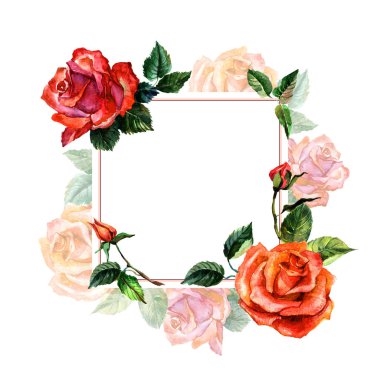 Kır çiçeği gül çiçek çerçeve izole bir suluboya tarzında.