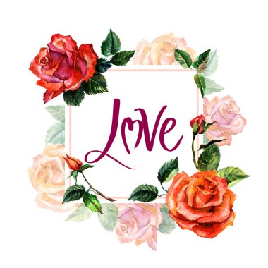 Kır çiçeği gül çiçek çerçeve izole bir suluboya tarzında.