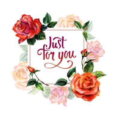 Kır çiçeği gül çiçek çerçeve izole bir suluboya tarzında.