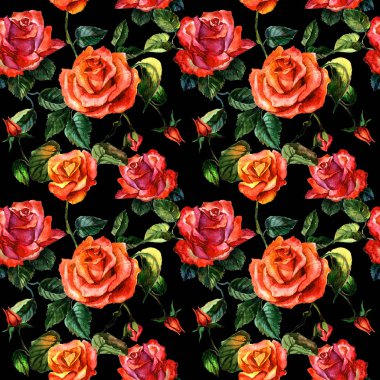 Kır çiçeği gül çiçek deseni izole bir suluboya tarzında.