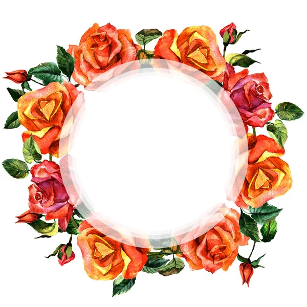 Wildflower rose flower frame in a watercolor style isolated. — Stock Photo, Image