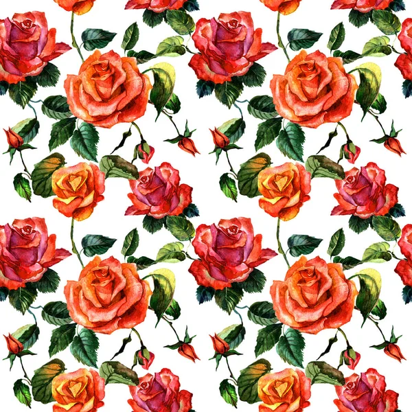 Motif fleur rose sauvage dans un style aquarelle isolé . — Photo