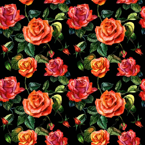 Цветок полевой розы узор в акварельном стиле изолированы . — стоковое фото