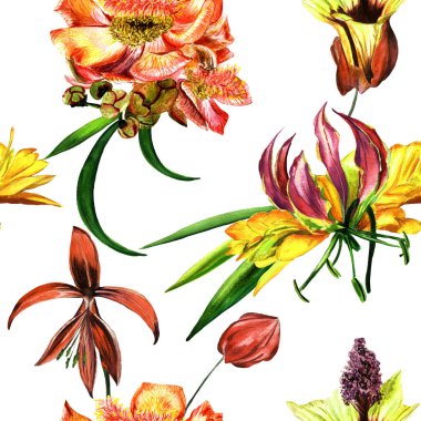 Tropikal Hawaii bırakır ve desen izole bir suluboya tarzında çiçekler.