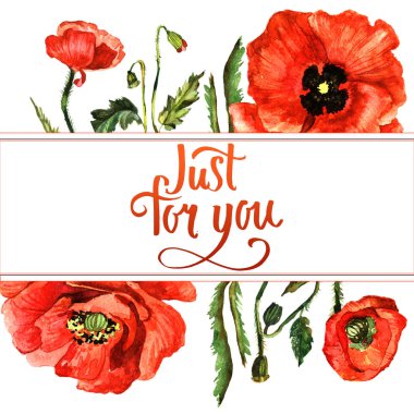 Kır çiçeği haşhaş çiçek çerçeve izole bir suluboya tarzında.