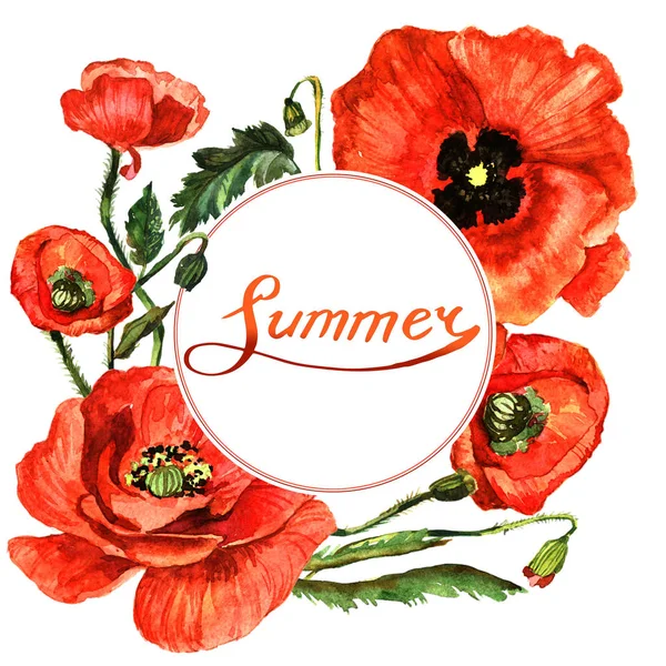 Wildflower poppy flower frame in a watercolor style isolated. — Stock Photo, Image