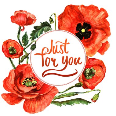 Kır çiçeği haşhaş çiçek çerçeve izole bir suluboya tarzında.