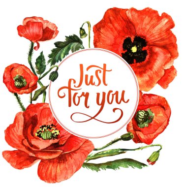 Kır çiçeği haşhaş çiçek çerçeve izole bir suluboya tarzında.