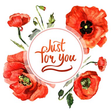 Kır çiçeği haşhaş çiçek çerçeve izole bir suluboya tarzında.