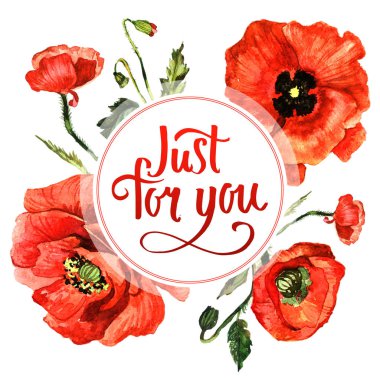 Kır çiçeği haşhaş çiçek çerçeve izole bir suluboya tarzında.