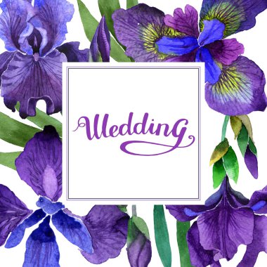 Kır çiçeği Iris çiçek çerçeve izole bir suluboya tarzında.