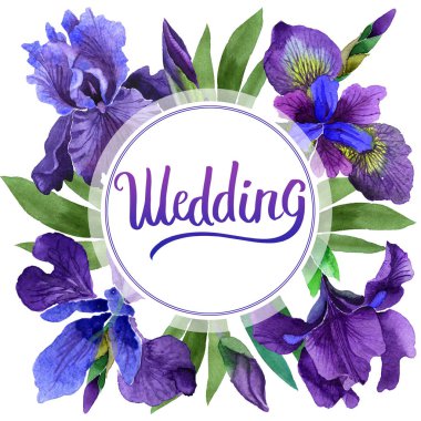 Kır çiçeği Iris çiçek çerçeve izole bir suluboya tarzında.