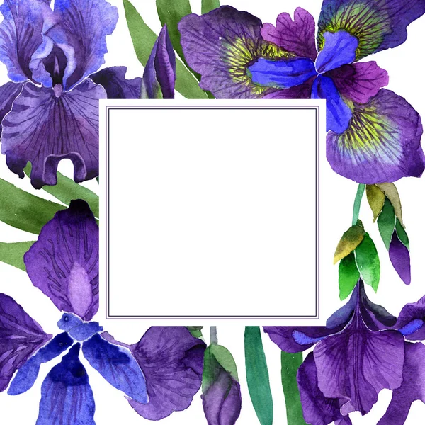 Wildflower iris flower frame in a watercolor style isolated. — Stock Photo, Image