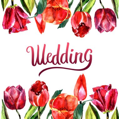 Kır çiçeği Lale çiçek çerçeve izole bir suluboya tarzında.