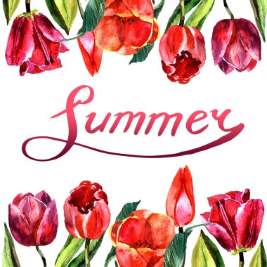 Kır çiçeği Lale çiçek çerçeve izole bir suluboya tarzında.