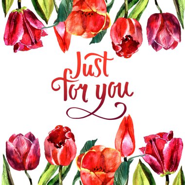 Kır çiçeği Lale çiçek çerçeve izole bir suluboya tarzında.