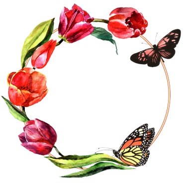 Kır çiçeği Lale çiçek çerçeve izole bir suluboya tarzında.