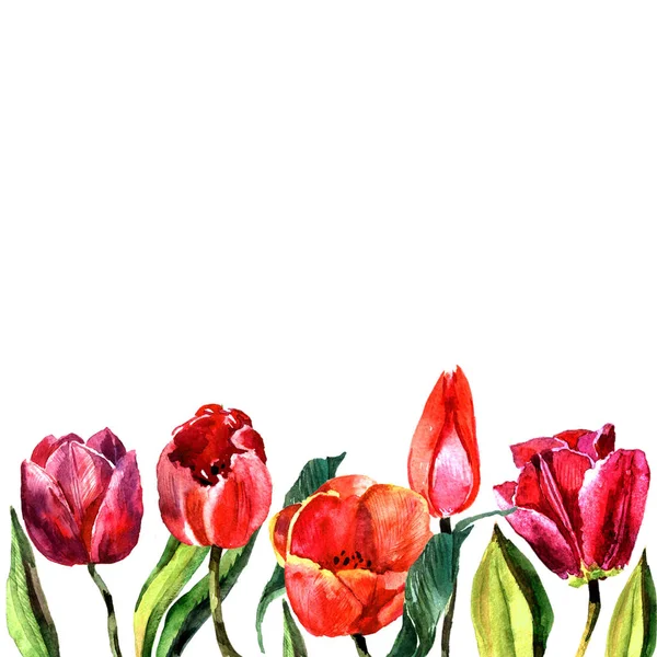 Цветочная рамка из цветка в акварельном стиле изолирована . — стоковое фото