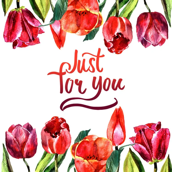 Wildflower Tulipán květ rám ve stylu akvarelu, samostatný. — Stock fotografie