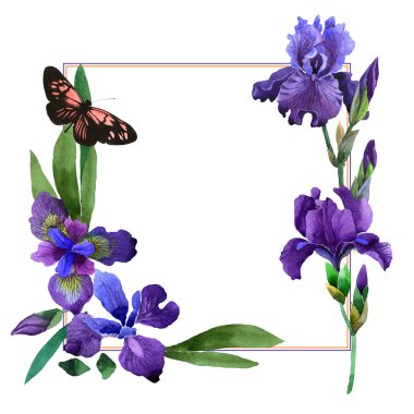 Kır çiçeği Iris çiçek çerçeve izole bir suluboya tarzında.