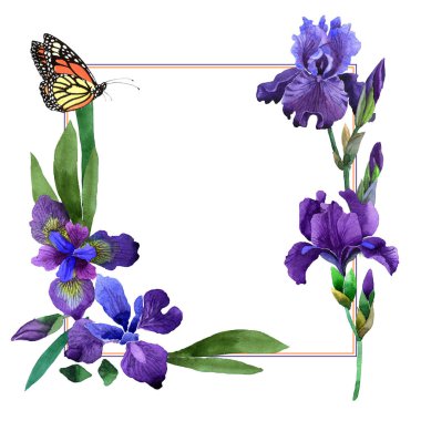 Kır çiçeği Iris çiçek çerçeve izole bir suluboya tarzında.