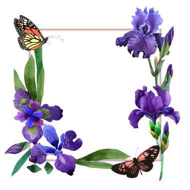 Kır çiçeği Iris çiçek çerçeve izole bir suluboya tarzında.