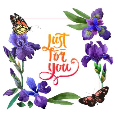 Kır çiçeği Iris çiçek çerçeve izole bir suluboya tarzında.