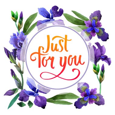 Kır çiçeği Iris çiçek çerçeve izole bir suluboya tarzında.