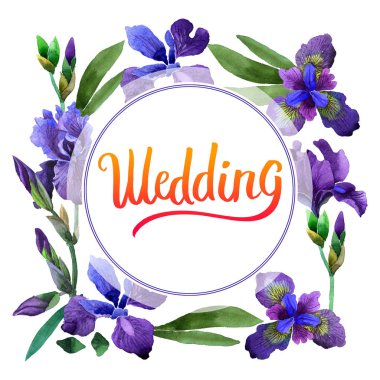 Kır çiçeği Iris çiçek çerçeve izole bir suluboya tarzında.