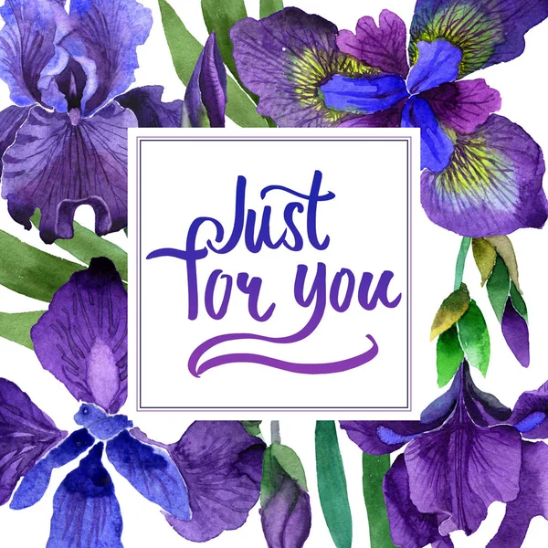 Marco de flores de iris de flor silvestre en un estilo de acuarela aislado . — Foto de Stock