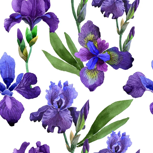 Wildflower iris blommönster i akvarell stil isolerade. — Stockfoto