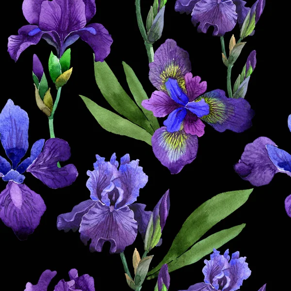 Wildflower iris flower pattern in a watercolor style isolated. — Stock Photo, Image