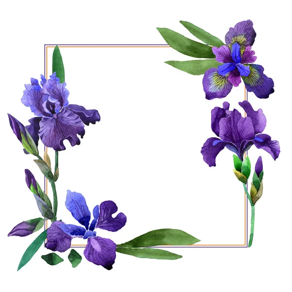 Wildblume Iris Blume Rahmen in einem Aquarell-Stil isoliert. — Stockfoto