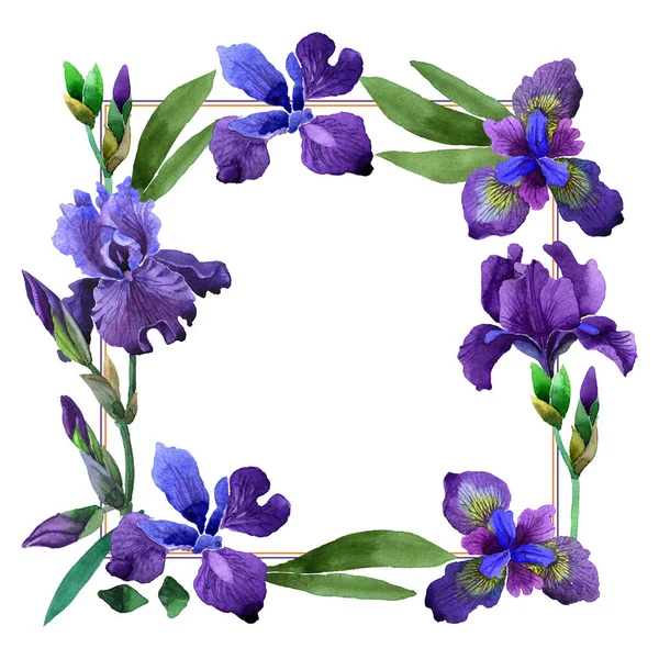 Wildflower iris flower frame in a watercolor style isolated. — Stock Photo, Image