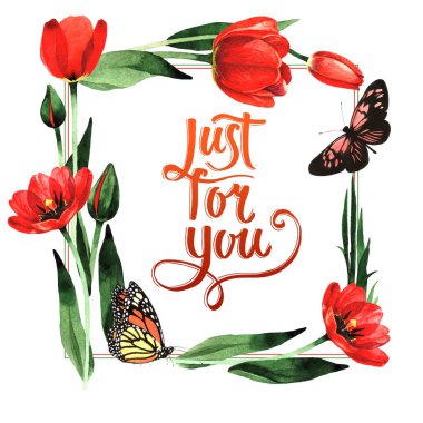 Kır çiçeği Lale çiçek çerçeve izole bir suluboya tarzında.