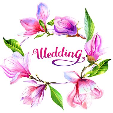 Kır çiçeği Manolya çiçek çerçeve izole bir suluboya tarzında.