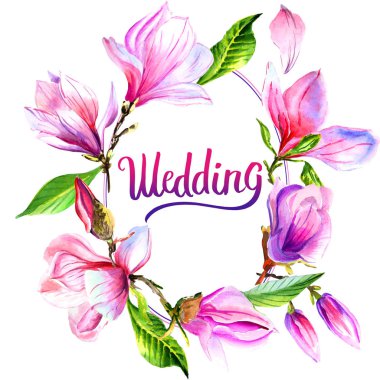 Kır çiçeği Manolya çiçek çerçeve izole bir suluboya tarzında.