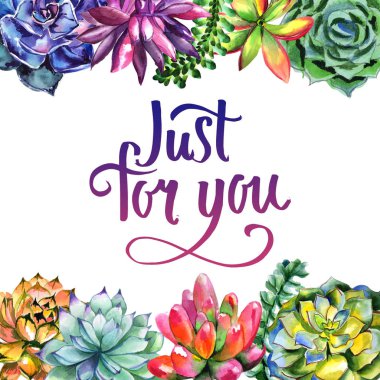 Kır çiçeği succulentus izole bir suluboya tarzında çerçeve çiçek.