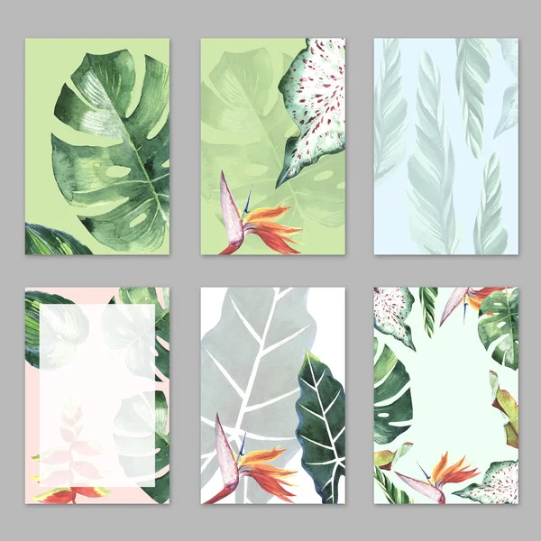 Tropická Hawaii listy palm tree téma ve stylu akvarelu, samostatný. — Stock fotografie