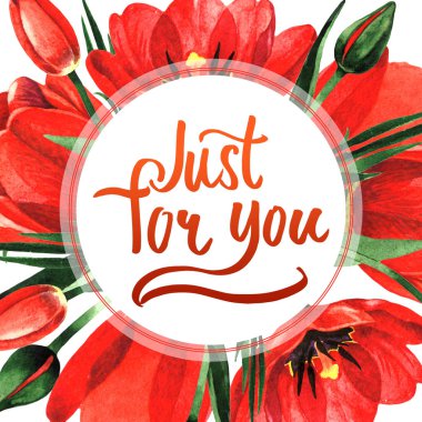 Kır çiçeği Lale çiçek çerçeve izole bir suluboya tarzında.