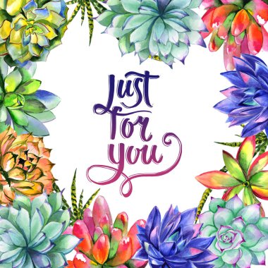 Kır çiçeği succulentus izole bir suluboya tarzında çerçeve çiçek.