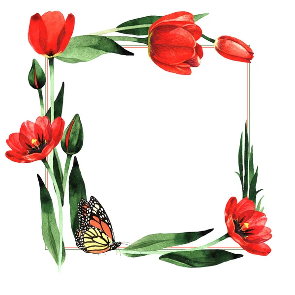 Wildflower tulip flower ram i akvarell stil isolerade. — Stockfoto