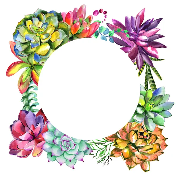 Wildflower succulentus flower frame in a watercolor style isolated. — Stock Photo, Image